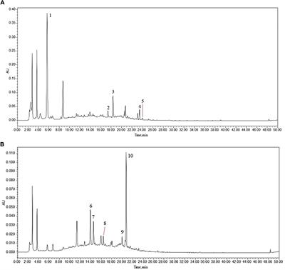 Mechanism and Molecular Targets of Ejiao Siwu Decoction for Treating Primary Immune Thrombocytopenia Based on High-Performance Liquid Chromatograph, Network Pharmacology, Molecular Docking and Cytokines Validation